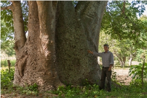 jardín_botánico_camagüey