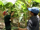 salud_camagüey