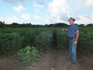 Luis García Batista, jefe de la UBPC La Yaya, señaló a los visitantes un verde campo de yuca donde antes había marabú y malezas.