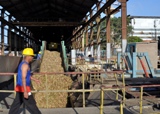 zafra_camagüey