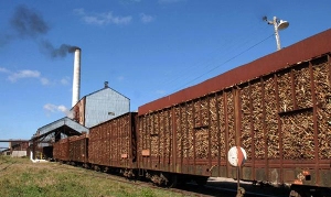 Completó Camagüey centrales azucareros en zafra
