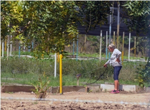 Implementa Florida nueva política de precios