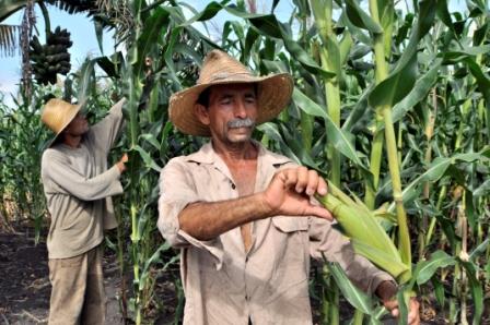 Fotos: Archivo Retos de la agricultura esmeraldense
