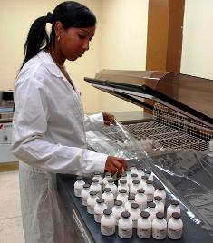 La vacuna Gavac, producida en el Centro de Ingeniería Genética y Biotecnología de la provincia, es muy eficaz en el control de la garrapata en el ganado bovino. Por mejorar comercialización de antígeno contra garrapata en Camagüey