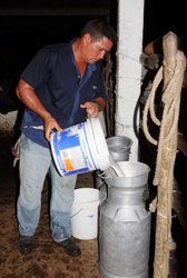 vaqueros- camagüey