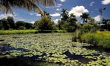  Proyectan humedales cubanos de importancia internacional