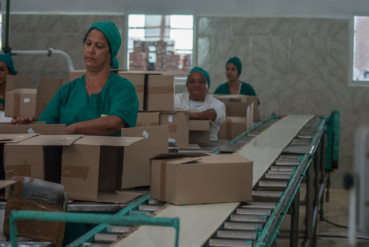 Foto:Archivo  Helados Coopelia de Camagüey vence plan anual