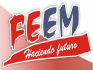 logo_feem
