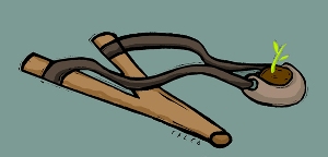 Espacio urbano vs árboles