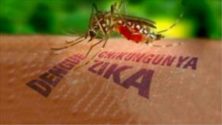 Prevención del zika es vital para las embarazadas en Camagüey