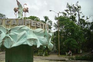 A partir de las cuatro de la tarde de este 12 de diciembre y hasta la misma hora del domingo músicos del patio tendrán escenario reservado en el Casino Campestre. Abrirá hoy son más largo camagüeyano