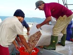 Pescadores camagüeyanos superan las dos mil toneladas de captura