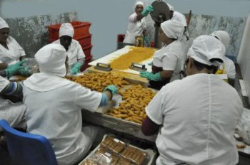 Con el incremento de la producción hay mayor presencia de productos en las pescaderías