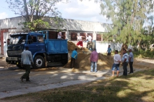 Progress of the Constructive Movement in Municipality of Camagüey