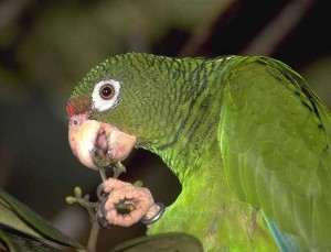 Foto:Archivo  Cierra el lunes 15 convocatoria para concurso de Fotonaturaleza
