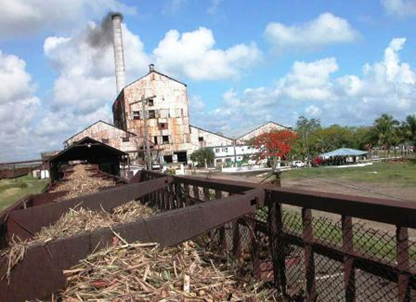 La honrilla de los centrales camagüeyanos en la Zafra Chica, nuevamente la salvó el consistente ingenio Siboney, de Sibanicú, que el 30 de diciembre último superaba en 954 toneladas de azúcar la producción planificada para ese mes. Foto: Archivo
