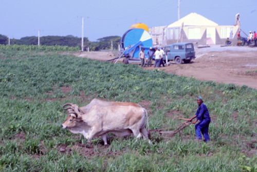 Aparejado al uso de la tracción animal avanzan obras inducidas en Así será.