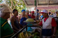 mercado-26-cmg-web-6