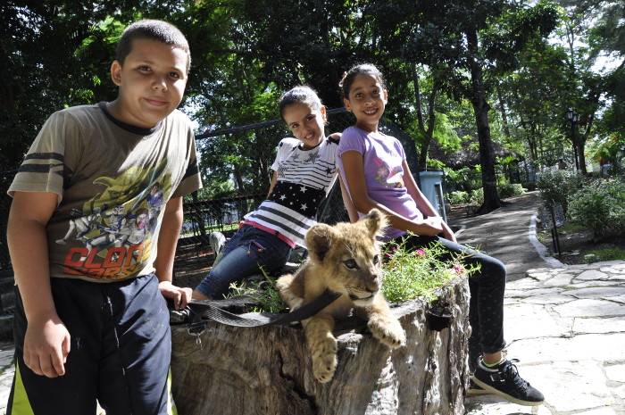 El contacto directo de los niños con los animales contribuye de forma sana a la educación ambiental y el respeto a la naturaleza.Foto: Otilio Rivero Delgado /Adelante Un rey a la mano de los camagüeyanos