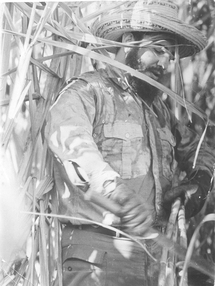 Foto:Archivo