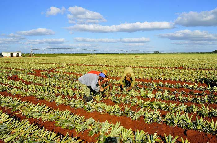 Photo: Ortelio González Martínez The blessing of two sister enterprises