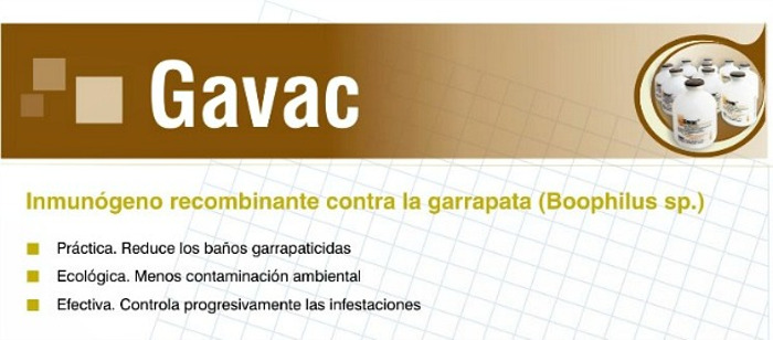 Foto:www.perulactea.com