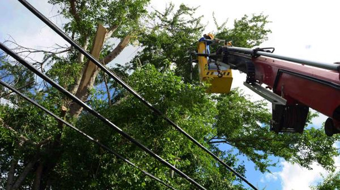 Tareas de poda de árboles, higienización y limpieza de ríos y puentes, son acciones adoptadas por el Consejo de Defensa Provincial en Camagüey ante la amenaza del huracán Matthew. Foto: Rodolfo Blanco Cué (ACN) Lentitud de Matthew no desespera a los cubanos