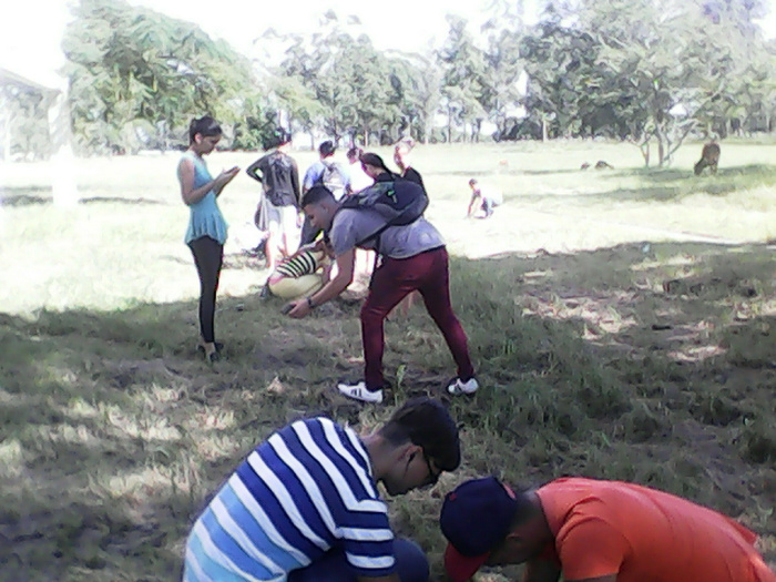Siembra de árboles. Foto: Cortesía de la Universidad Estudiantes universitarios rinden homenaje al Che