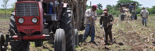 Por una zafra superior agroazucareros de Camagüey