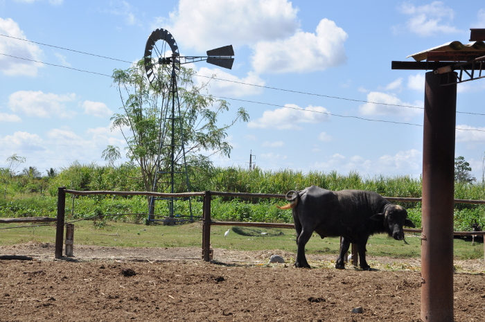 El viento, fuente del potencial eólico