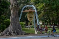 galeria-cmg5