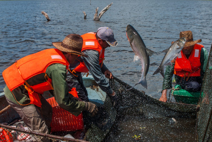Foto: Archivo/Adelante Pesca de plataforma favorece cumplimiento del establecimiento acuícola