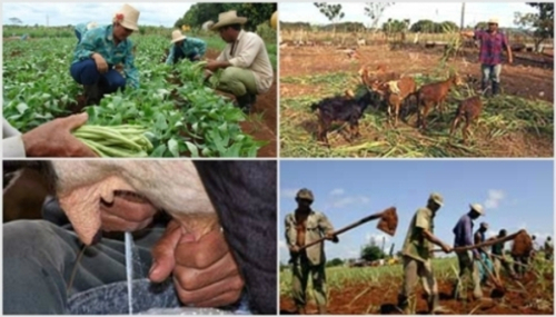 Foto: tomada de www.cadenagramonte.cu