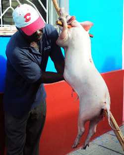 Foto: Orlando Durán Hernández/Adelante