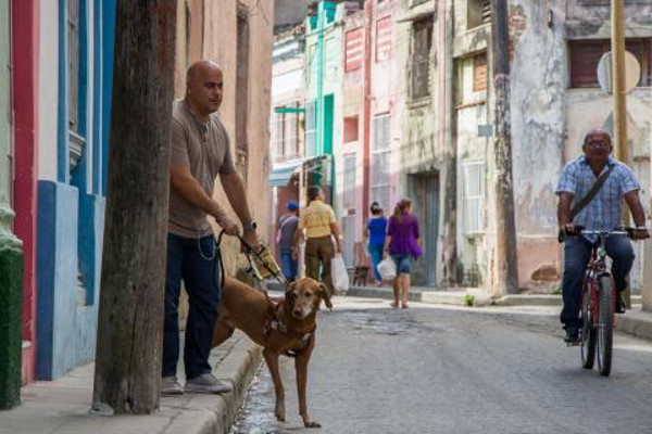 Fotos: Leandro Pérez Pérez