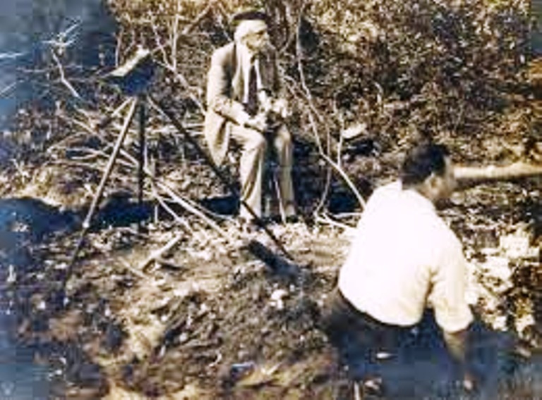 Fotos: Tomadas de www.cubanatura.blogspot.com