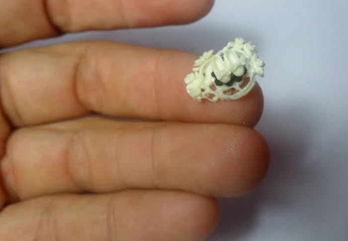 Fotos: Leandro Pérez Pérez