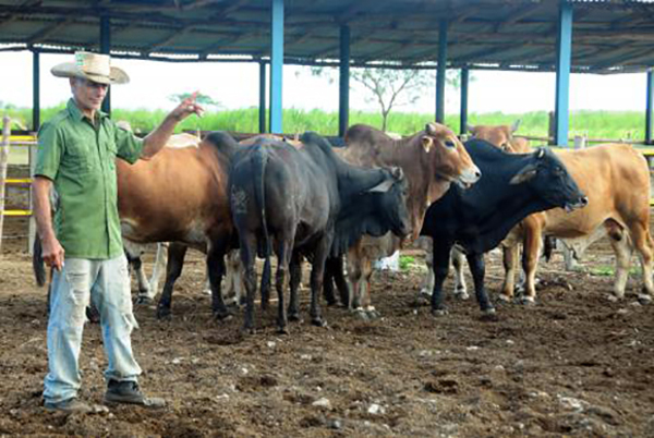 Foto: Orlando Durán Hernández/Archivo