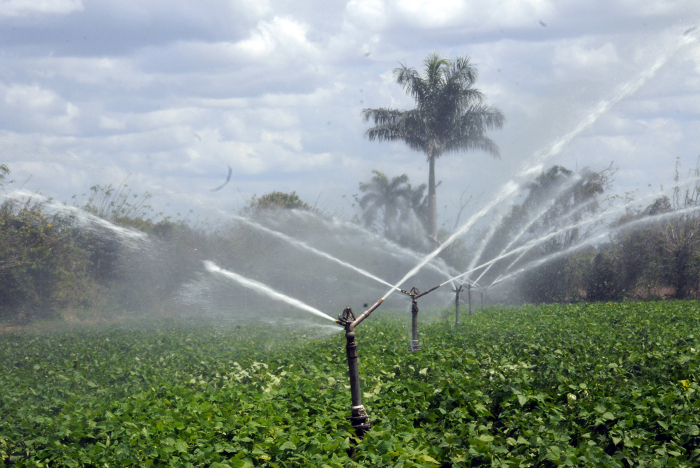 Photo: Orlando Durán Hernández/ Adelante FAO representative in Cuba calls for sustainable agriculture