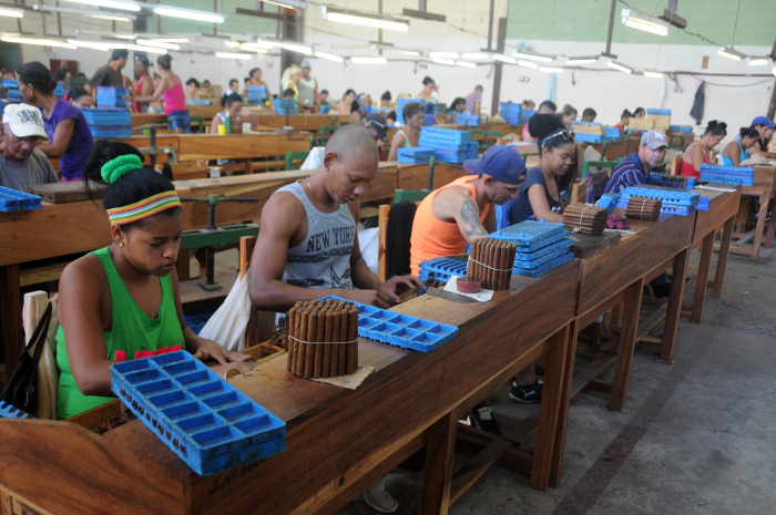Fotos: Orlando Durán Hernández/Adelante ¡Tabaqueros! Preparen…