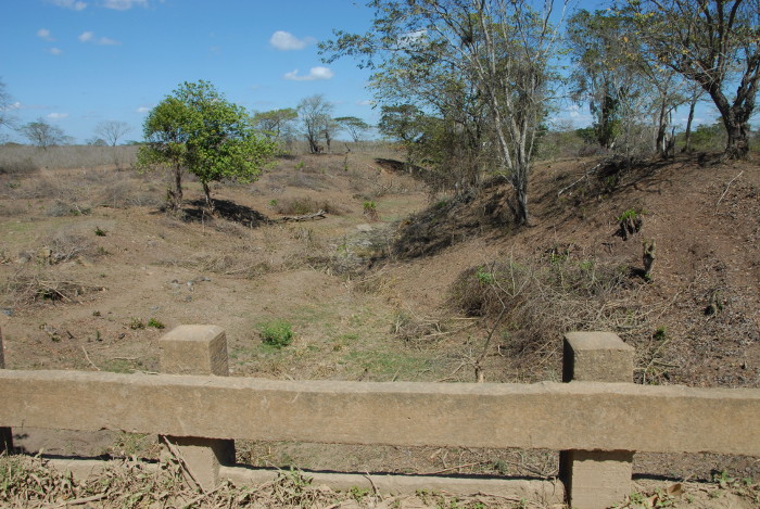 El 70 por ciento de las áreas de cultivo el suministro de agua es insuficiente y los municipios más afectados resultan Guáimaro, Vertientes, Florida y Santa Cruz del Sur, a la vez que se mantienen las condiciones de peligro extremo para la aparición y propagación de incendios en casi toda la provincia.Foto: Otilio Rivero Delgado/ Adelante Sequía afecta de manera severa a Camagüey