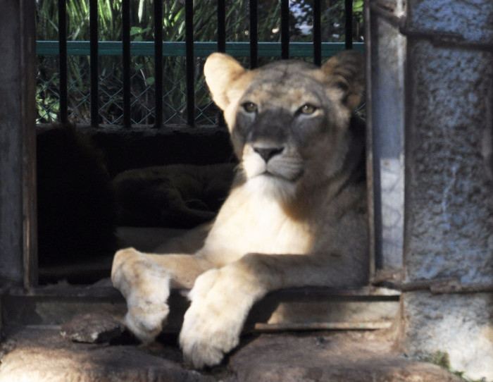 Photos: Otilio Rivero Delgado/Adelante