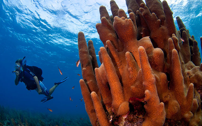 Photo: taken from www.nature.org