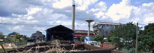 Sugar cane derivatives as raw materials in Cuba