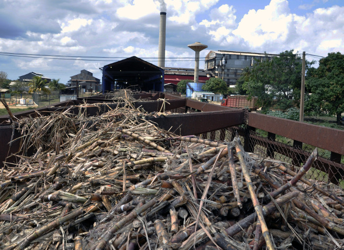 Photo: Otilio Rivero Delgado/Adelante Sugar cane derivatives as raw materials in Cuba