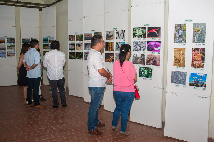 Foto: Leandro Pérez Pérez/Adelante Premian la belleza camagüeyana en Biencuadre 2017