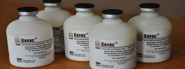 Camagüey's scientific work benefits Cuban economy