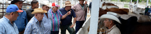 Utilizar la tierra al máximo 