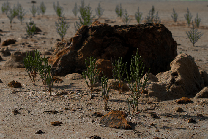 Las acciones de la Tarea Vida se encaminan a la prevención, preparación, respuesta y recuperación, para enfrentar y reducir los riesgos y las vulnerabilidades y adaptarnos a este fenómeno que afectará a todos.Foto: Leandro Pérez Pérez/ Adelante/ Archivo Tarea Vida para la supervivencia