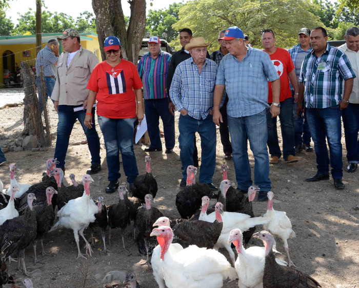 Photo: Rodolfo Blanco Cué/ACN Use the earth to the maximum
